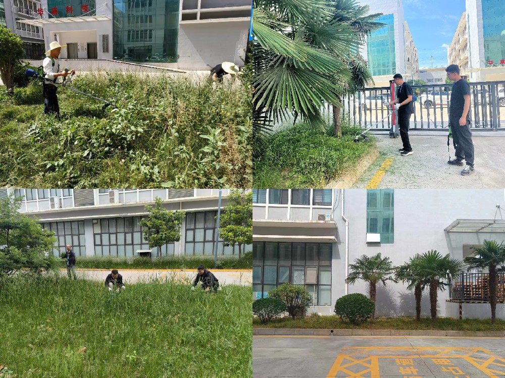 降本增效办实事、自主养护美园区——开源物业公司产业孵化园开展绿化修剪工作
